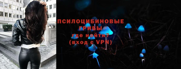 прущая мука Арсеньев