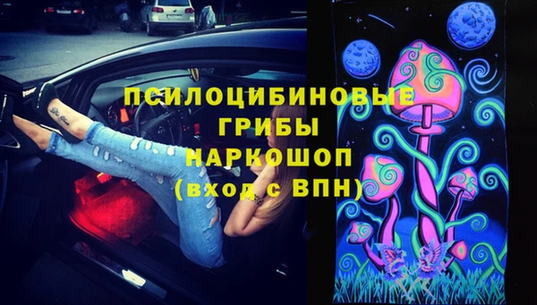 прущая мука Арсеньев