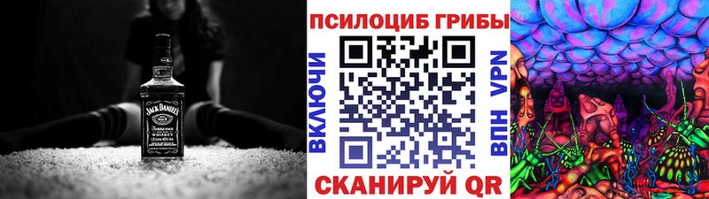 darknet Telegram  Балтийск  Галлюциногенные грибы Psilocybe 